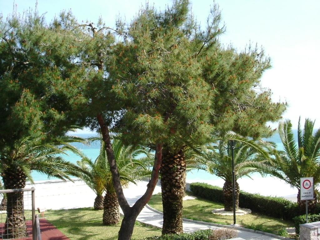 Taormina Beach House Mazzeo Værelse billede